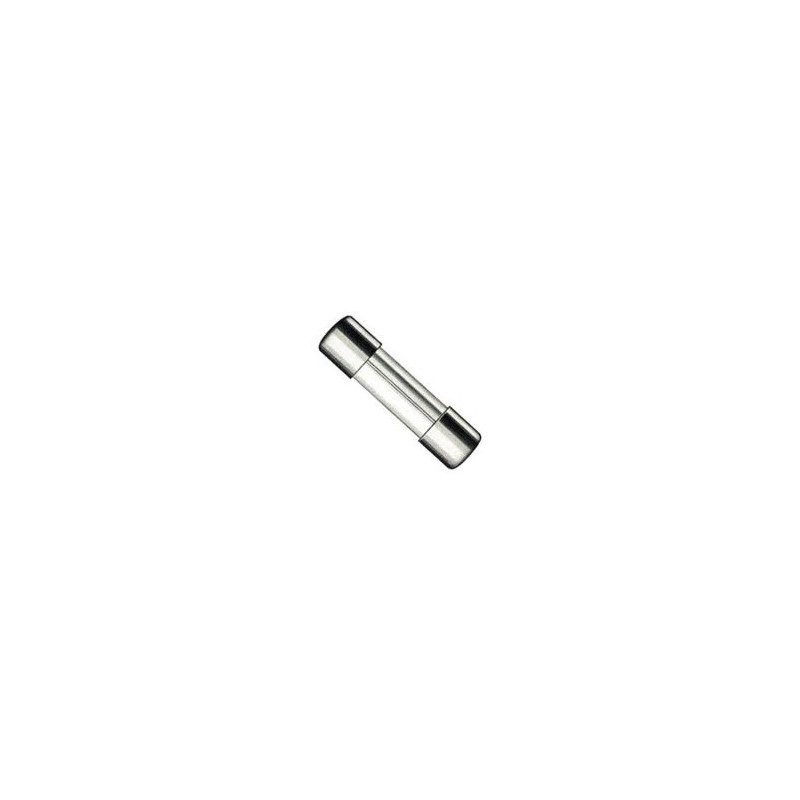 Lot de 10 fusibles 2,5 Ampères 250 Volts Lot de 10 fusibles 2,5 Ampères 250 Volts